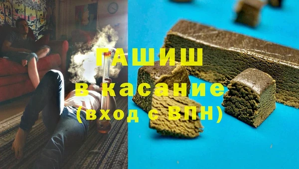 хмурый Белокуриха